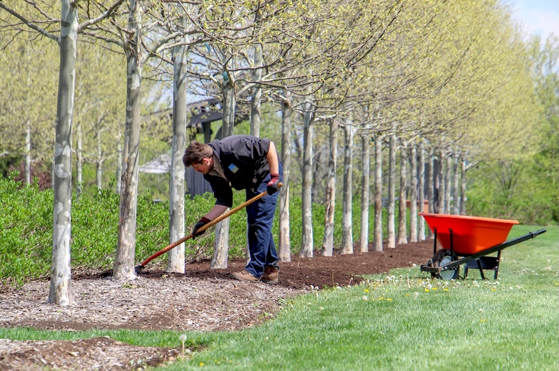 What Is Park Maintenance? (Definition, Jobs & Examples)